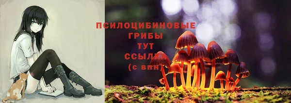 стафф Кинешма