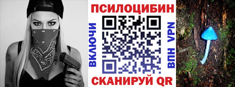 Псилоцибиновые грибы мицелий Купить Невель