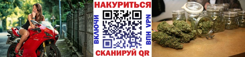 Каннабис планчик Купить закладки Невель